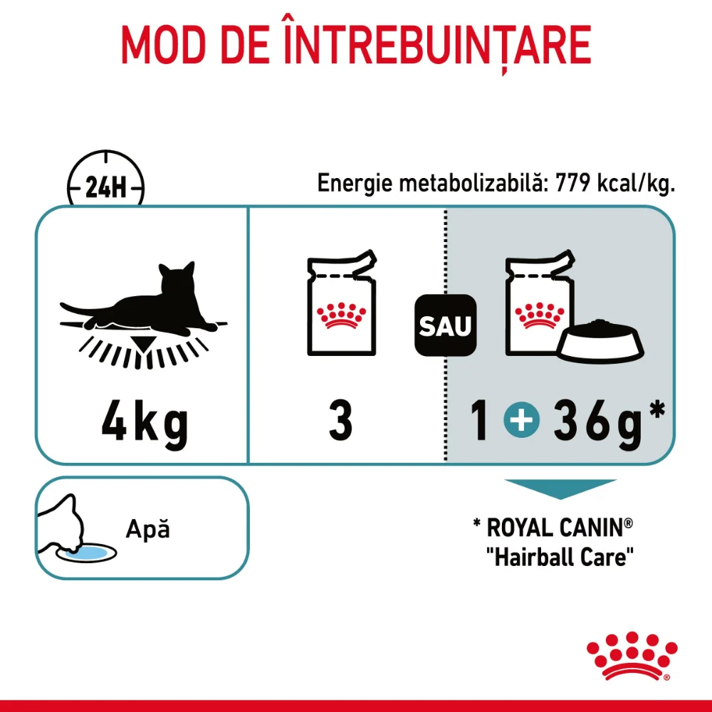 ROYAL CANIN Hairball Care Adult hrană umedă pisică, limitarea ghemurilor de blană (în sos), 12x85g [10]