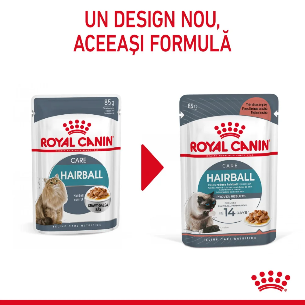 ROYAL CANIN Hairball Care Adult hrană umedă pisică, limitarea ghemurilor de blană (în sos), 12x85g [4]