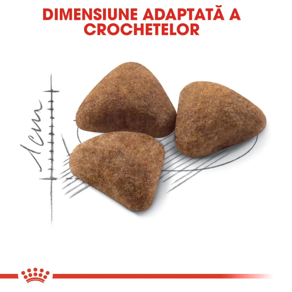 ROYAL CANIN Indoor Adult, hrană uscată pisică de interior, 2kg [5]