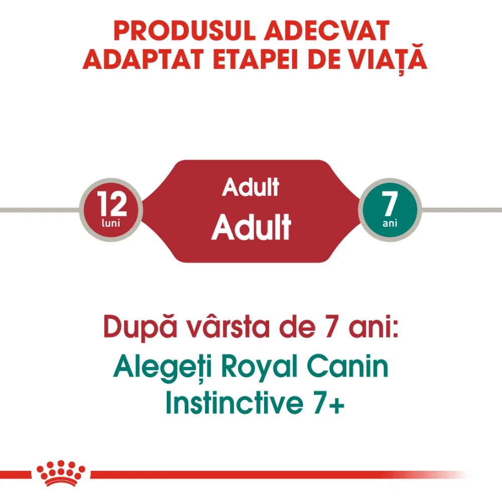 ROYAL CANIN Instinctive Adult, hrană umedă pisică (în aspic), 12x85g [6]