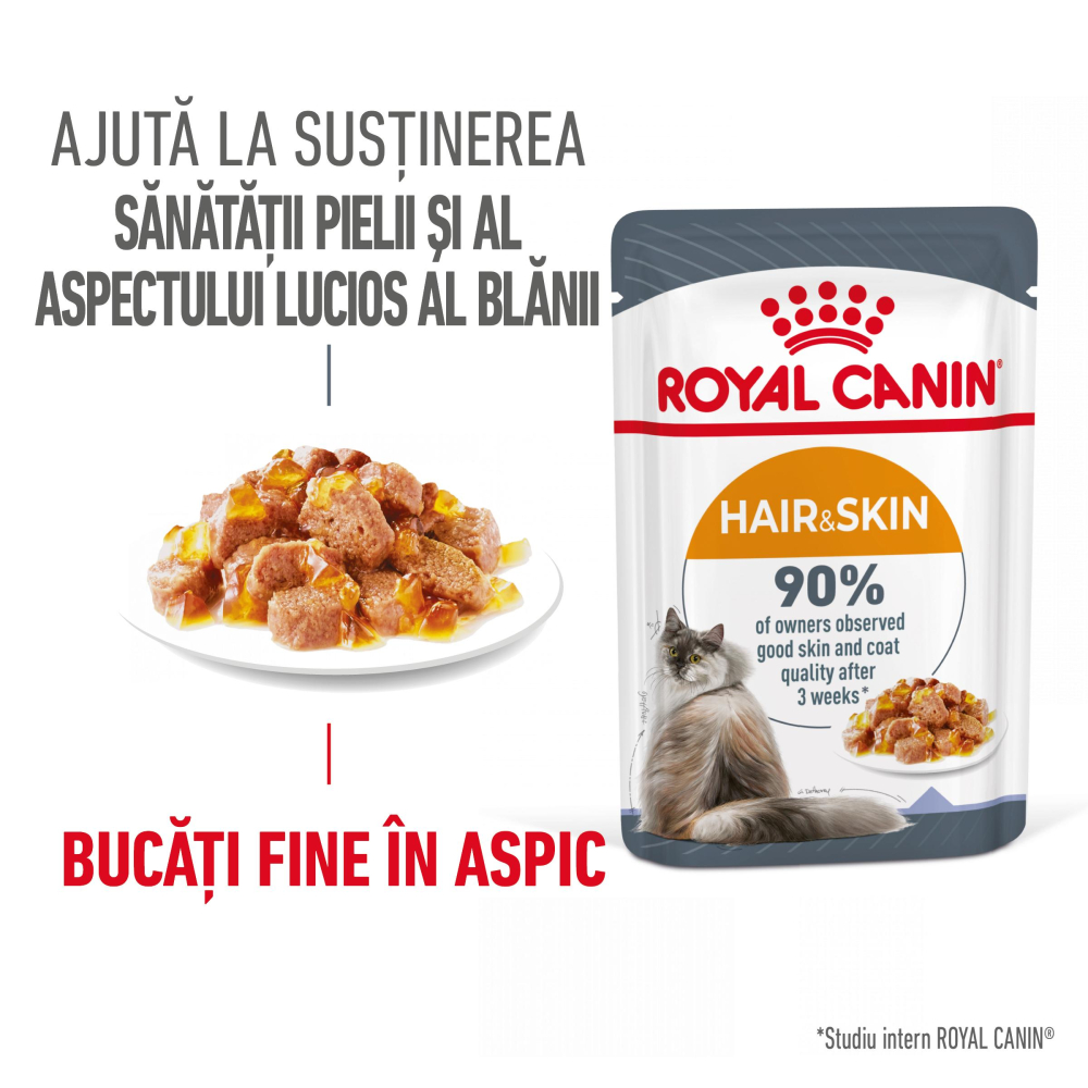 ROYAL CANIN Hair&Skin Care Adult hrana umeda pisica, piele si blana (in aspic), 12x85g [2]