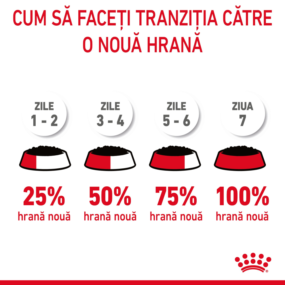 ROYAL CANIN Hair&Skin Care Adult hrana umeda pisica, piele si blana (in aspic), 12x85g [7]