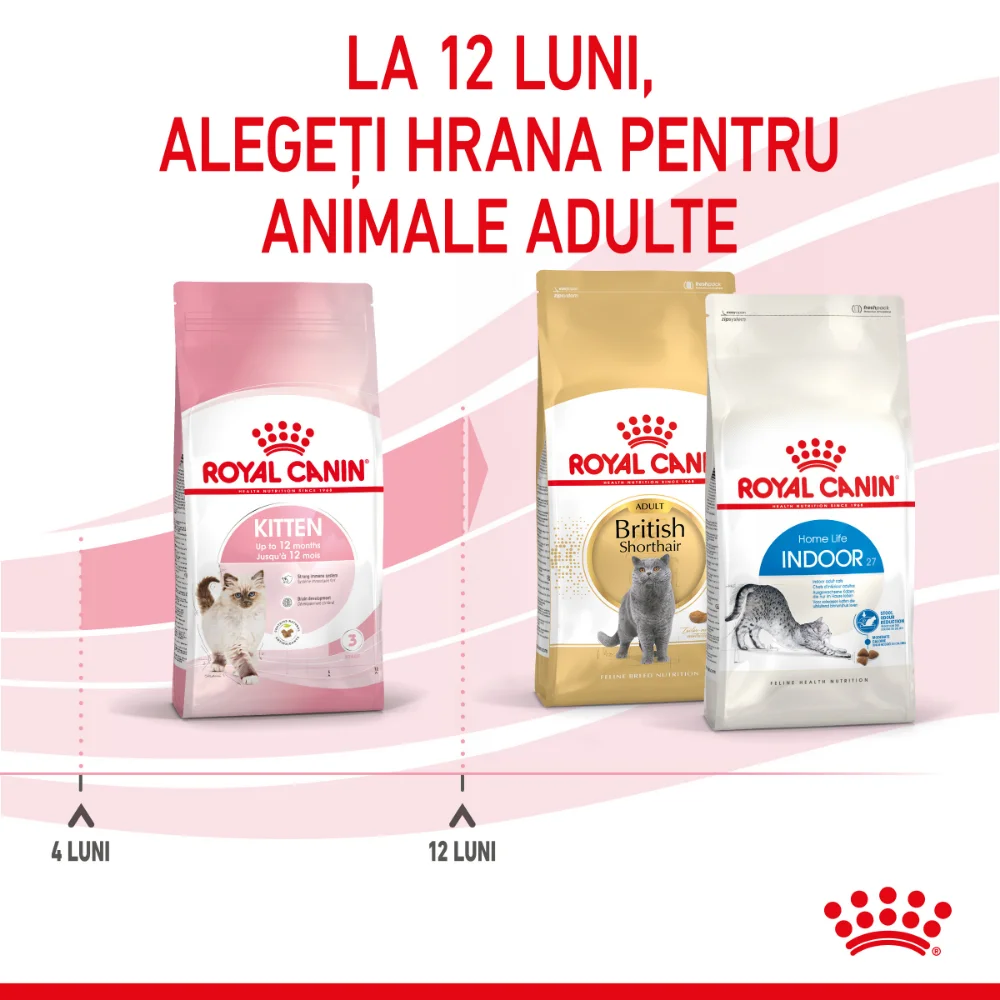Royal Canin Kitten, hrană uscată pisică junior, 2kg [11]