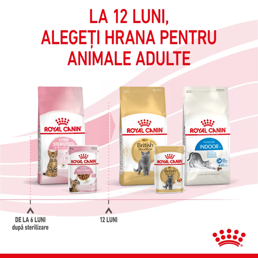 ROYAL CANIN Kitten Sterilised, hrană umedă pisică sterilizată junior (în sos), 12x85g [11]