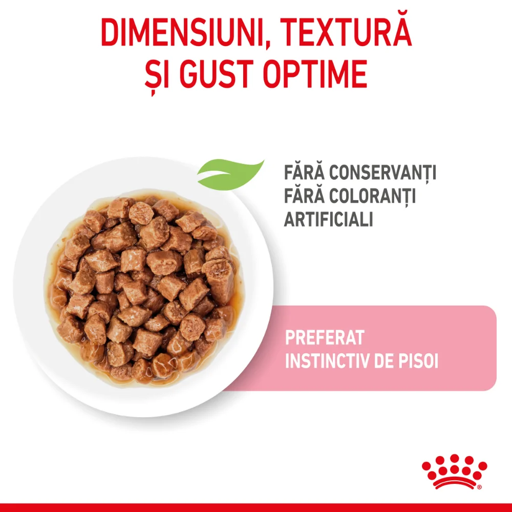 ROYAL CANIN Kitten Sterilised, hrană umedă pisică sterilizată junior (în sos), 12x85g [6]