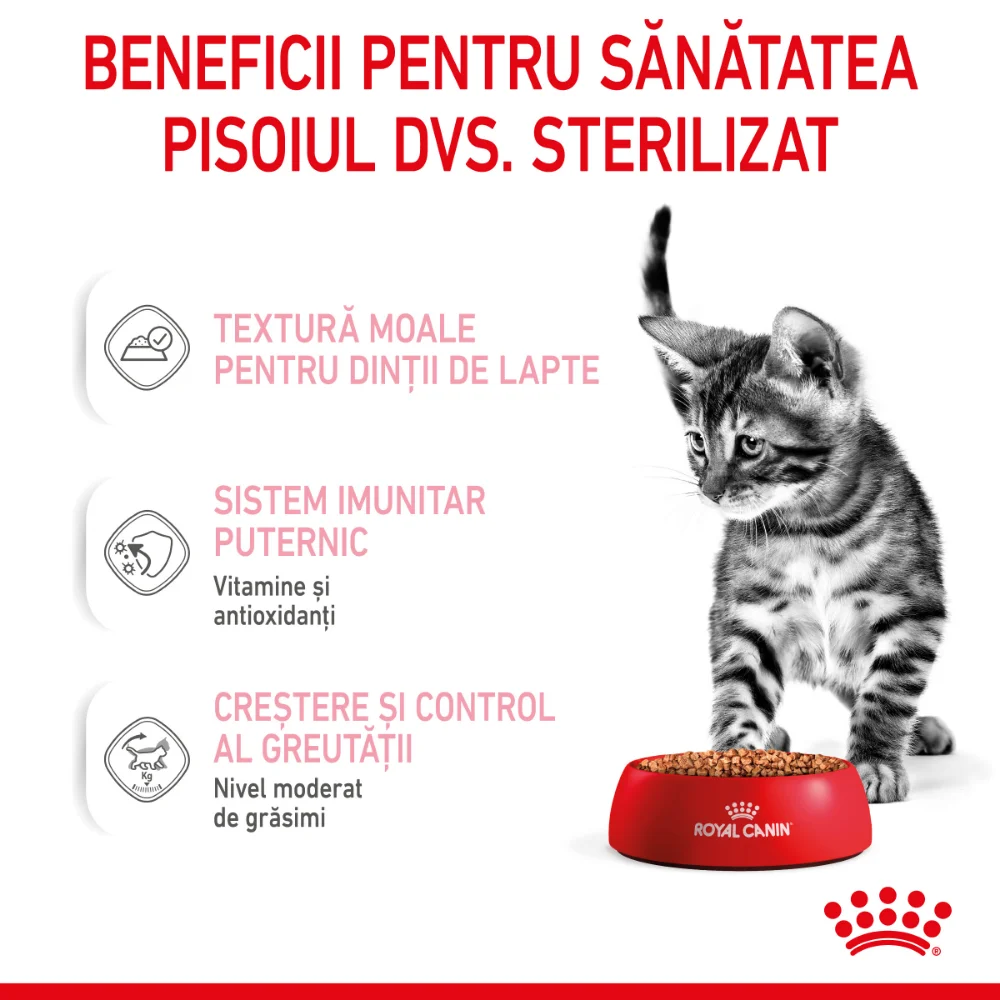 ROYAL CANIN Kitten Sterilised, hrană umedă pisică sterilizată junior (în sos), 12x85g [5]