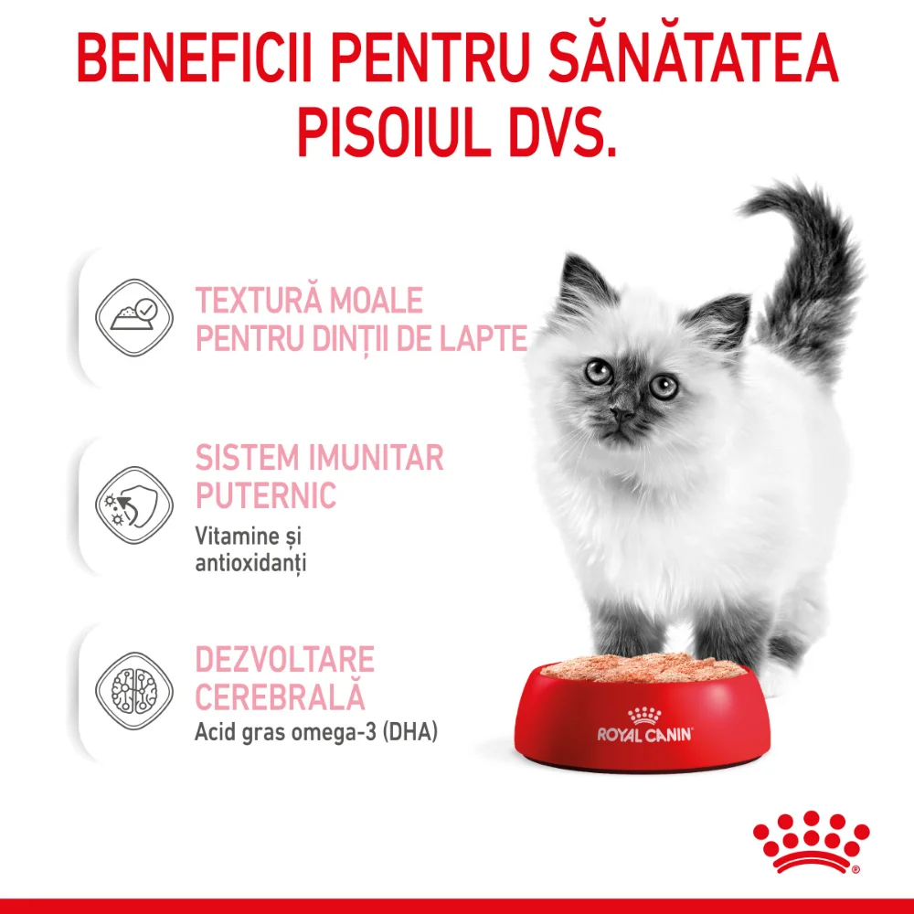 ROYAL CANIN Kitten, hrană umedă pisică junior (pate), 12x85g [5]