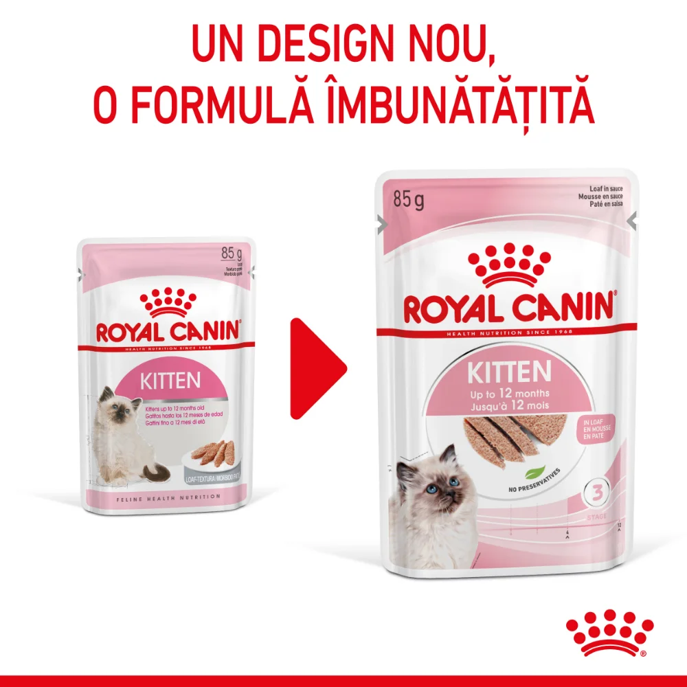 ROYAL CANIN Kitten, hrană umedă pisică junior (pate), 12x85g [4]