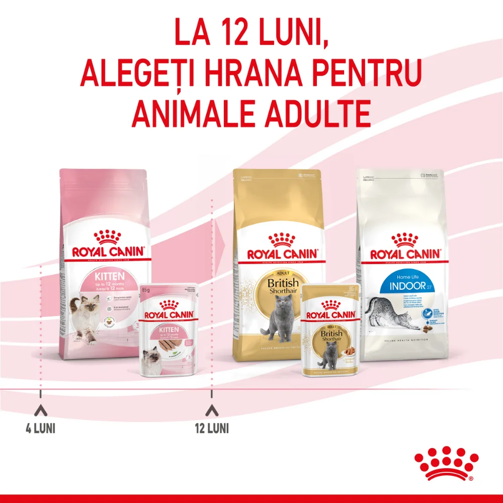ROYAL CANIN Kitten, hrană umedă pisică junior (pate), 12x85g [12]