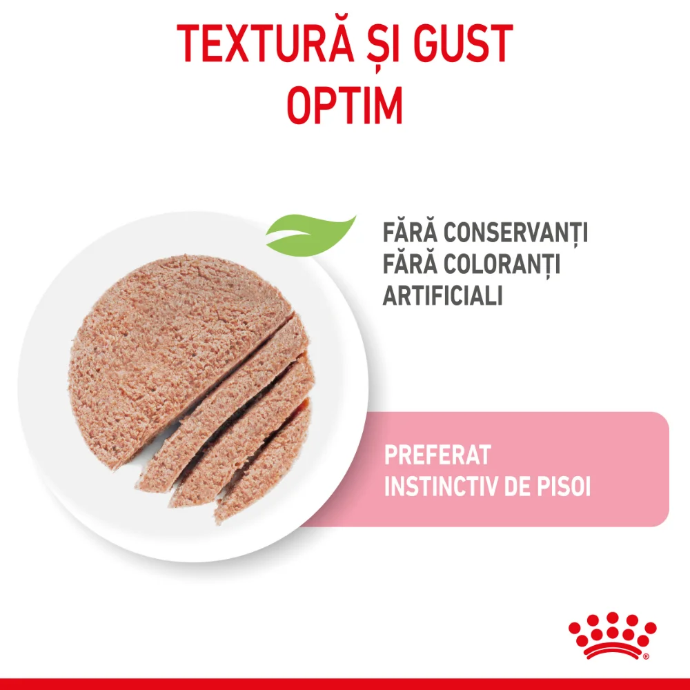 ROYAL CANIN Kitten, hrană umedă pisică junior (pate), 12x85g [6]