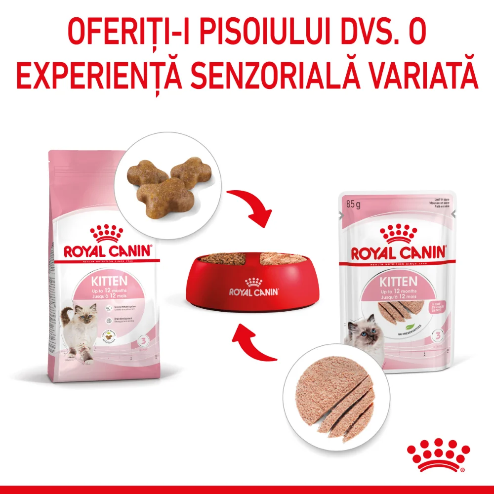ROYAL CANIN Kitten, hrană umedă pisică junior (pate), 12x85g [7]