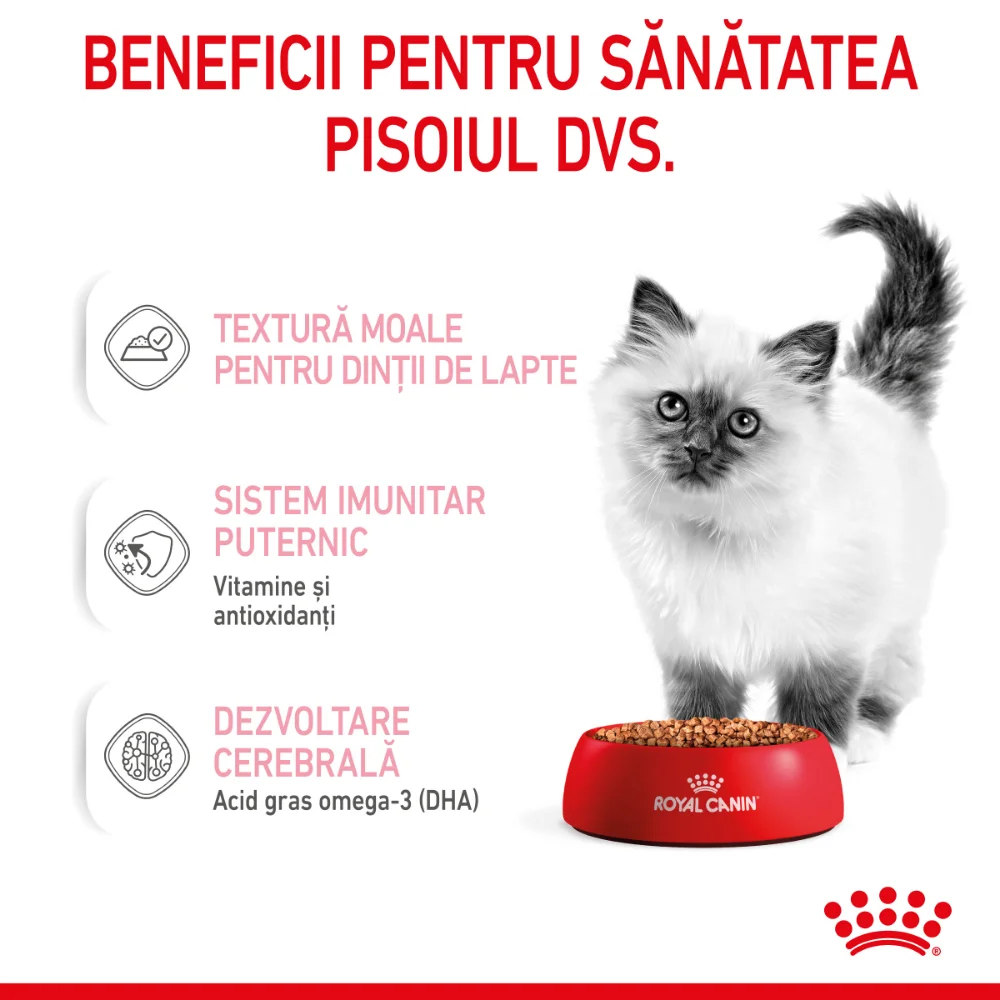 ROYAL CANIN Kitten, hrană umedă pisică junior (în sos), 12x85g [5]