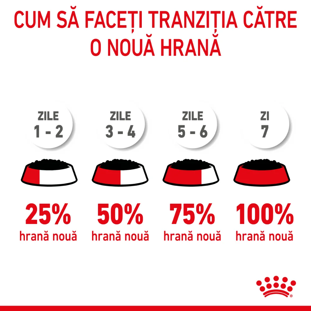 ROYAL CANIN Kitten, hrană umedă pisică junior (în sos), 12x85g [11]