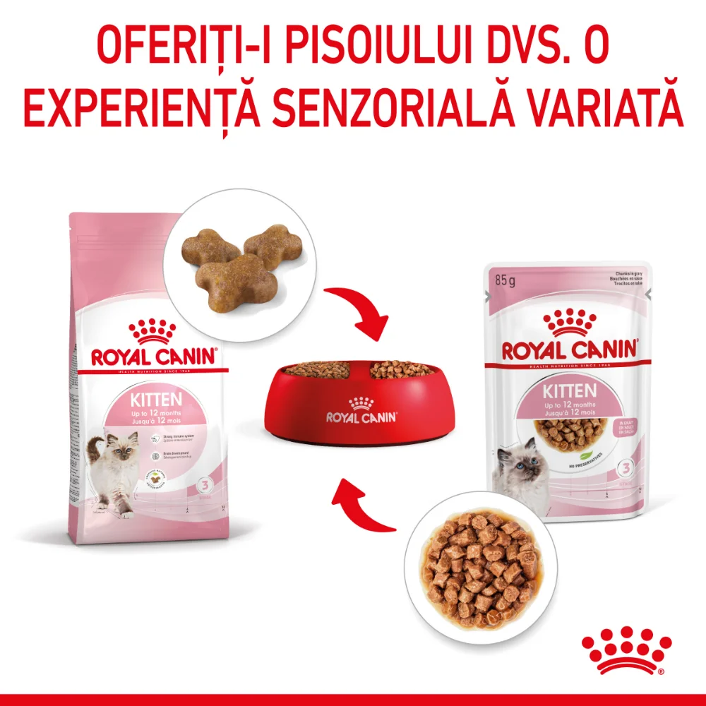 ROYAL CANIN Kitten, hrană umedă pisică junior (în sos), 12x85g [7]