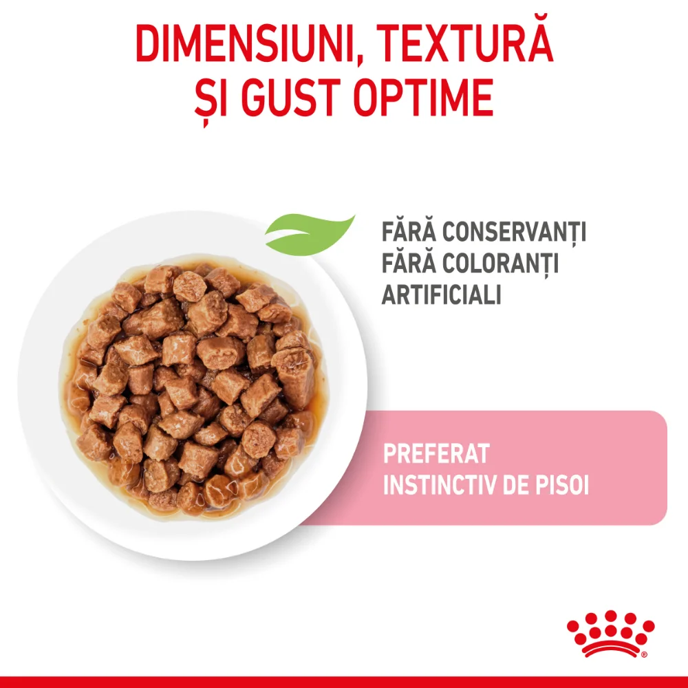 ROYAL CANIN Kitten, hrană umedă pisică junior (în sos), 12x85g [6]