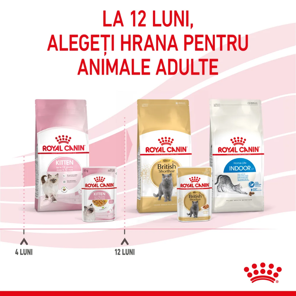 ROYAL CANIN Kitten, hrană umedă pisică junior (aspic), 12x85g [12]