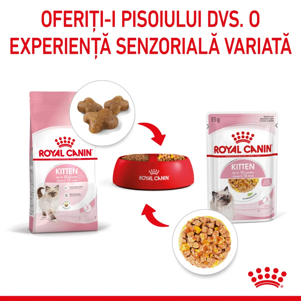 ROYAL CANIN Kitten, hrană umedă pisică junior (aspic), 12x85g [7]