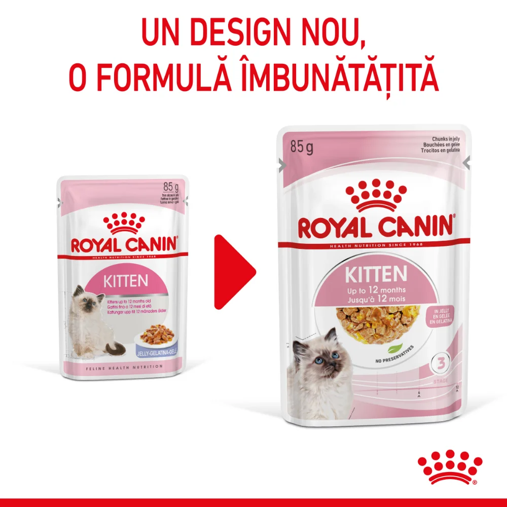 ROYAL CANIN Kitten, hrană umedă pisică junior (aspic), 12x85g [4]