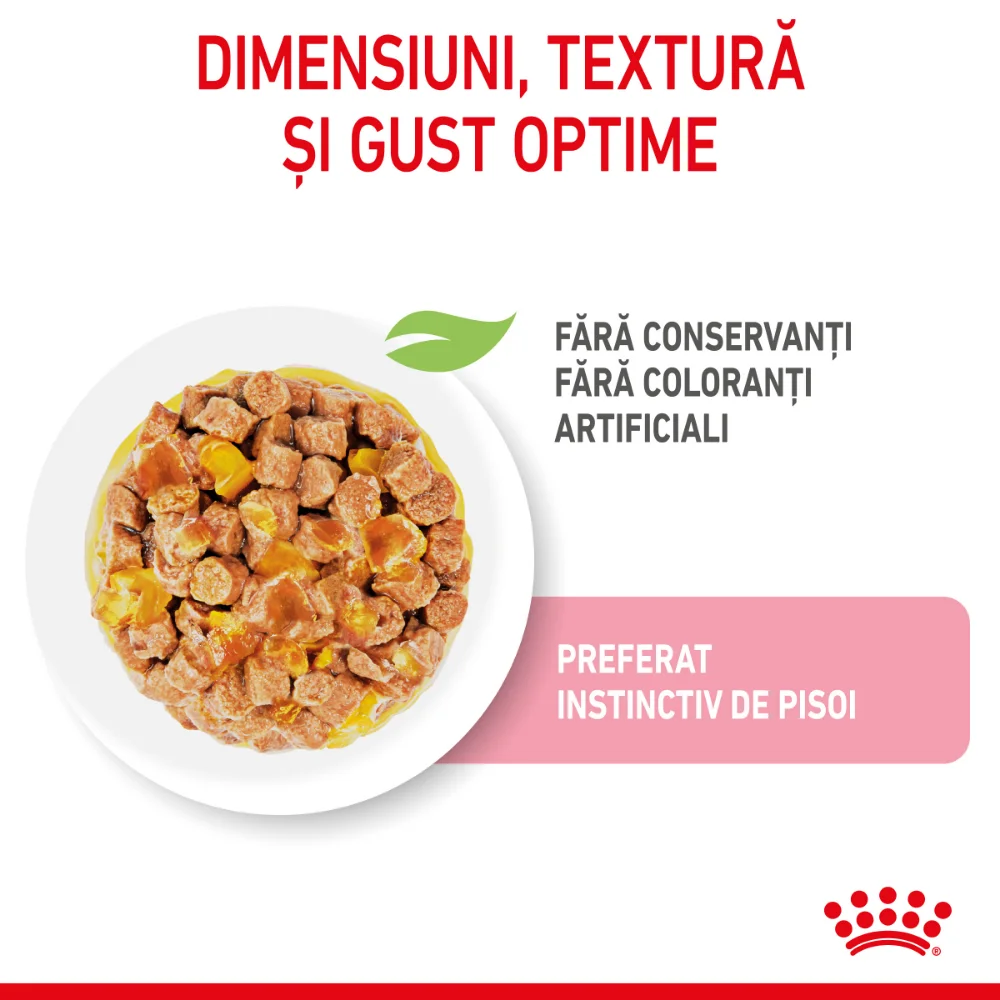 ROYAL CANIN Kitten, hrană umedă pisică junior (aspic), 12x85g [6]