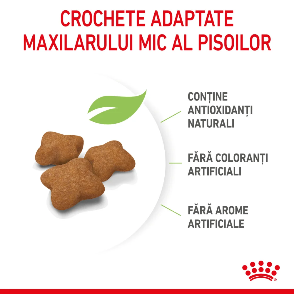 ROYAL CANIN Kitten Sterilised, hrană uscată pisici sterilizate junior, 400g [5]