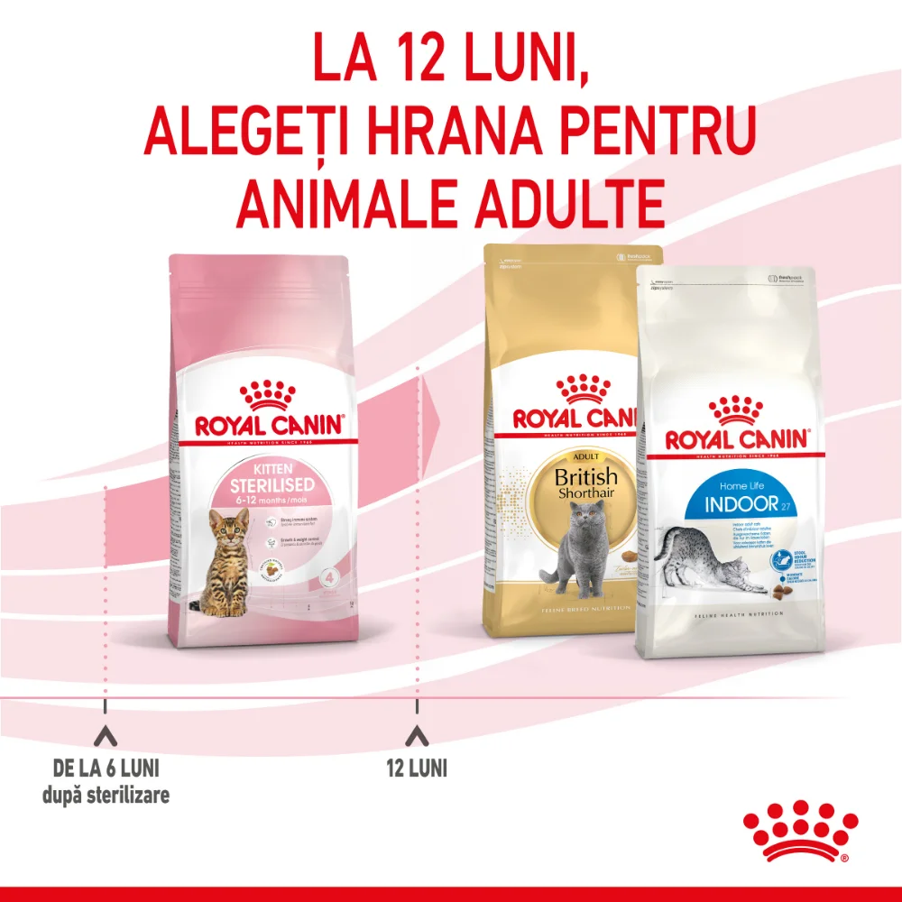 ROYAL CANIN Kitten Sterilised, hrană uscată pisici sterilizate junior, 400g [10]