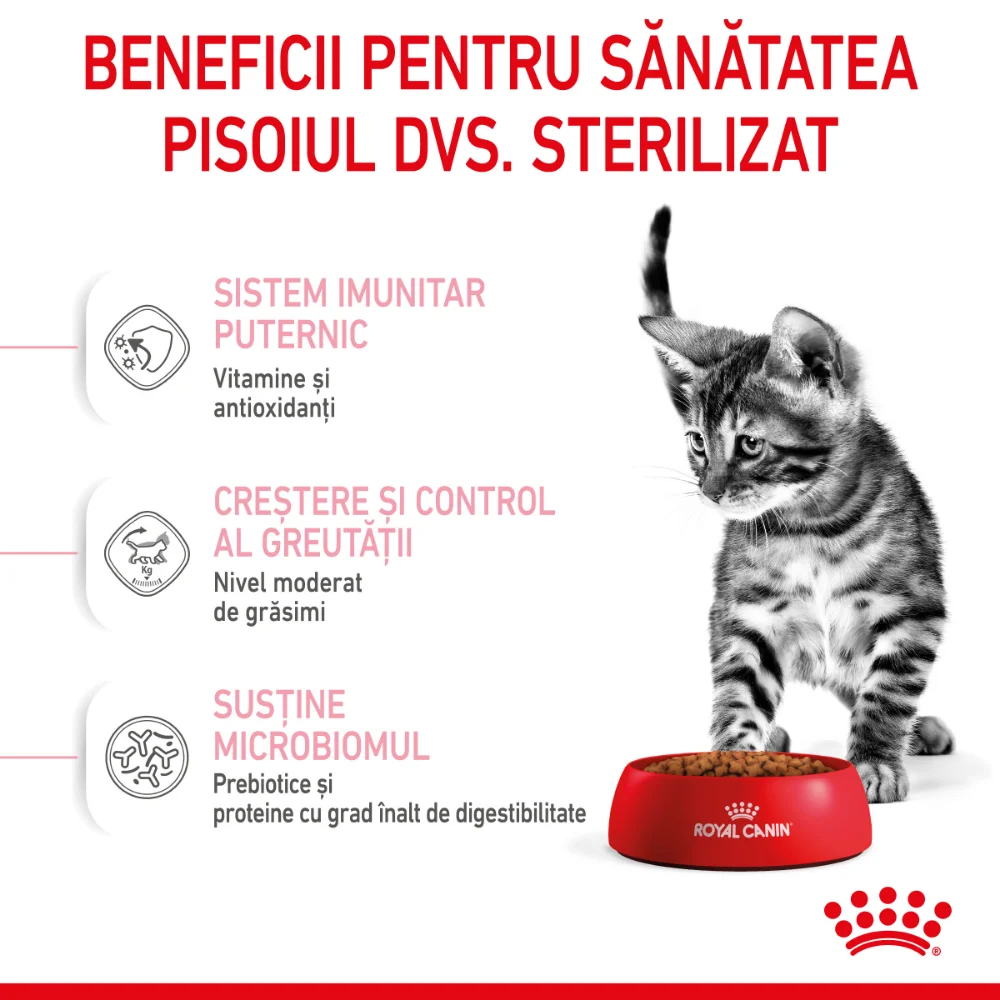 ROYAL CANIN Kitten Sterilised, hrană uscată pisici sterilizate junior, 2kg [6]