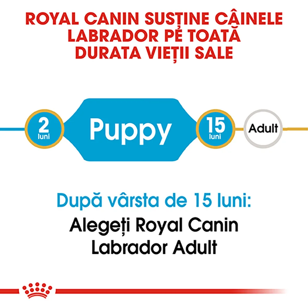 ROYAL CANIN Labrador Puppy, hrană uscată câine junior, 12kg [7]