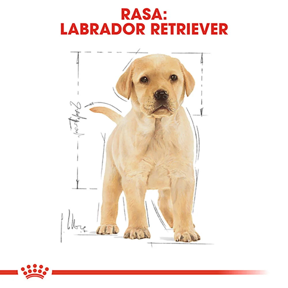 ROYAL CANIN Labrador Puppy, hrană uscată câine junior, 12kg [6]
