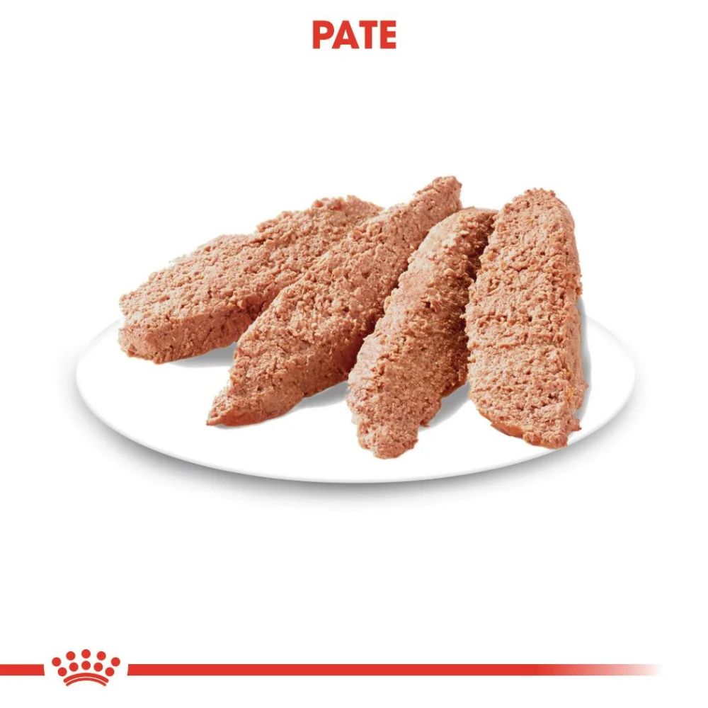 ROYAL CANIN Light Weight Care Adult, hrană umedă câine, limitarea creșterii în greutate (pate), 12x85g [4]