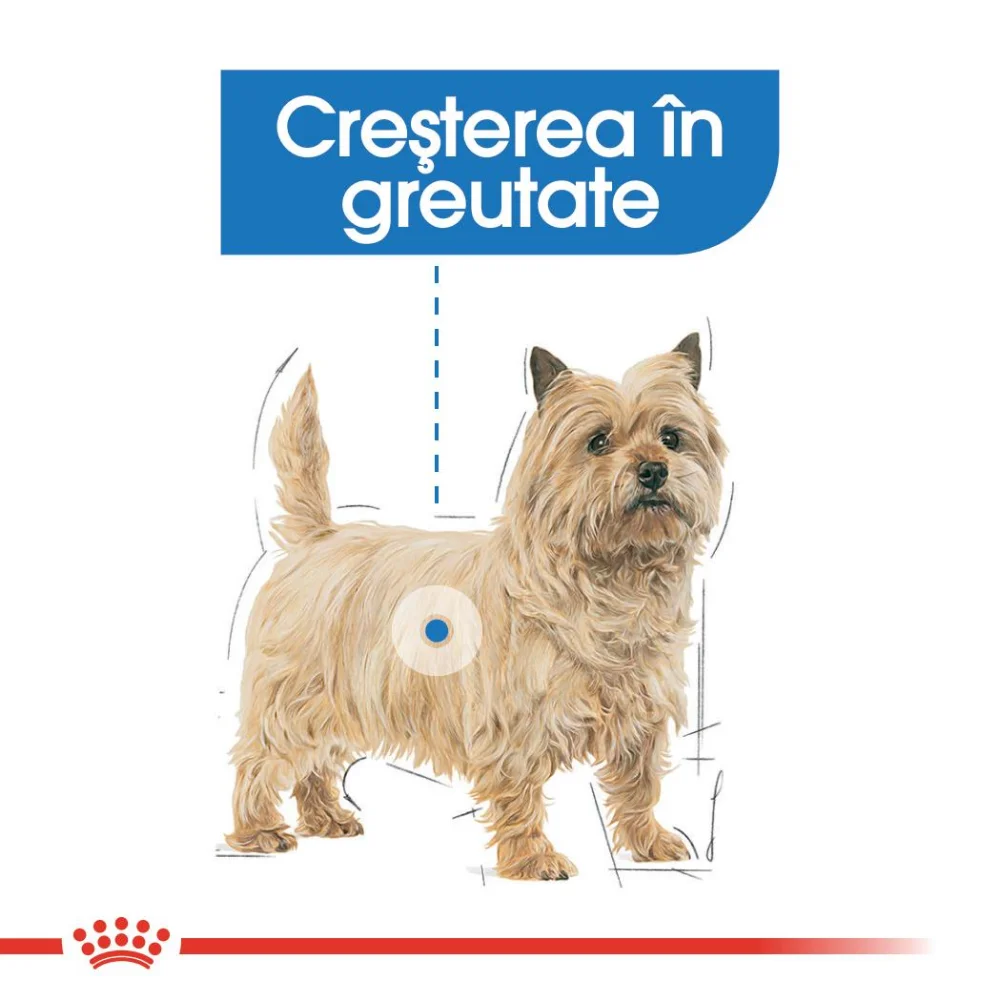 ROYAL CANIN Light Weight Care Adult, hrană umedă câine, limitarea creșterii în greutate (pate), 12x85g [5]