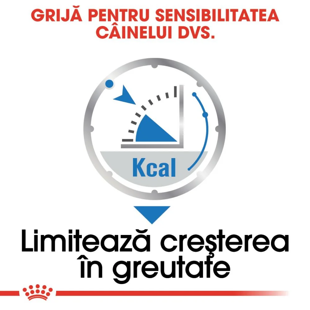 ROYAL CANIN Light Weight Care Adult, hrană umedă câine, limitarea creșterii în greutate (pate), 12x85g [3]