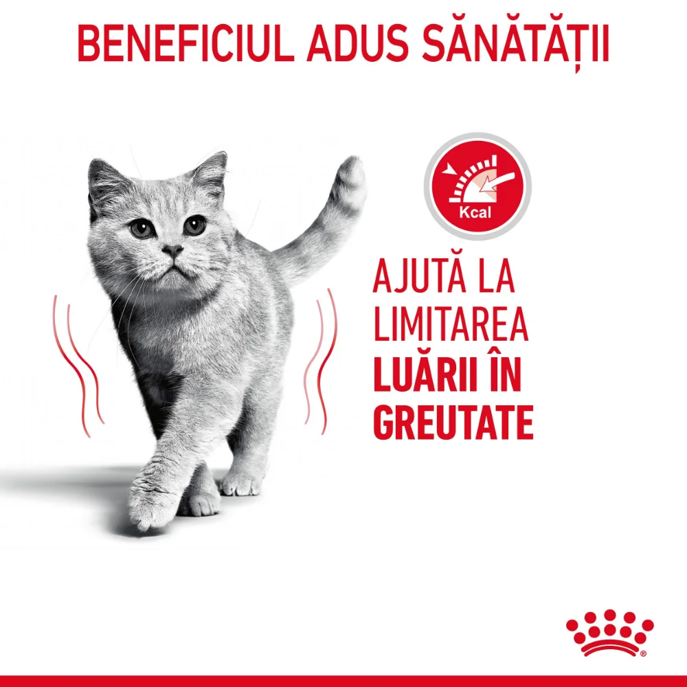 ROYAL CANIN Light Weight Care Adult, hrană uscată pisică, limitarea creșterii în greutate, 400g [3]