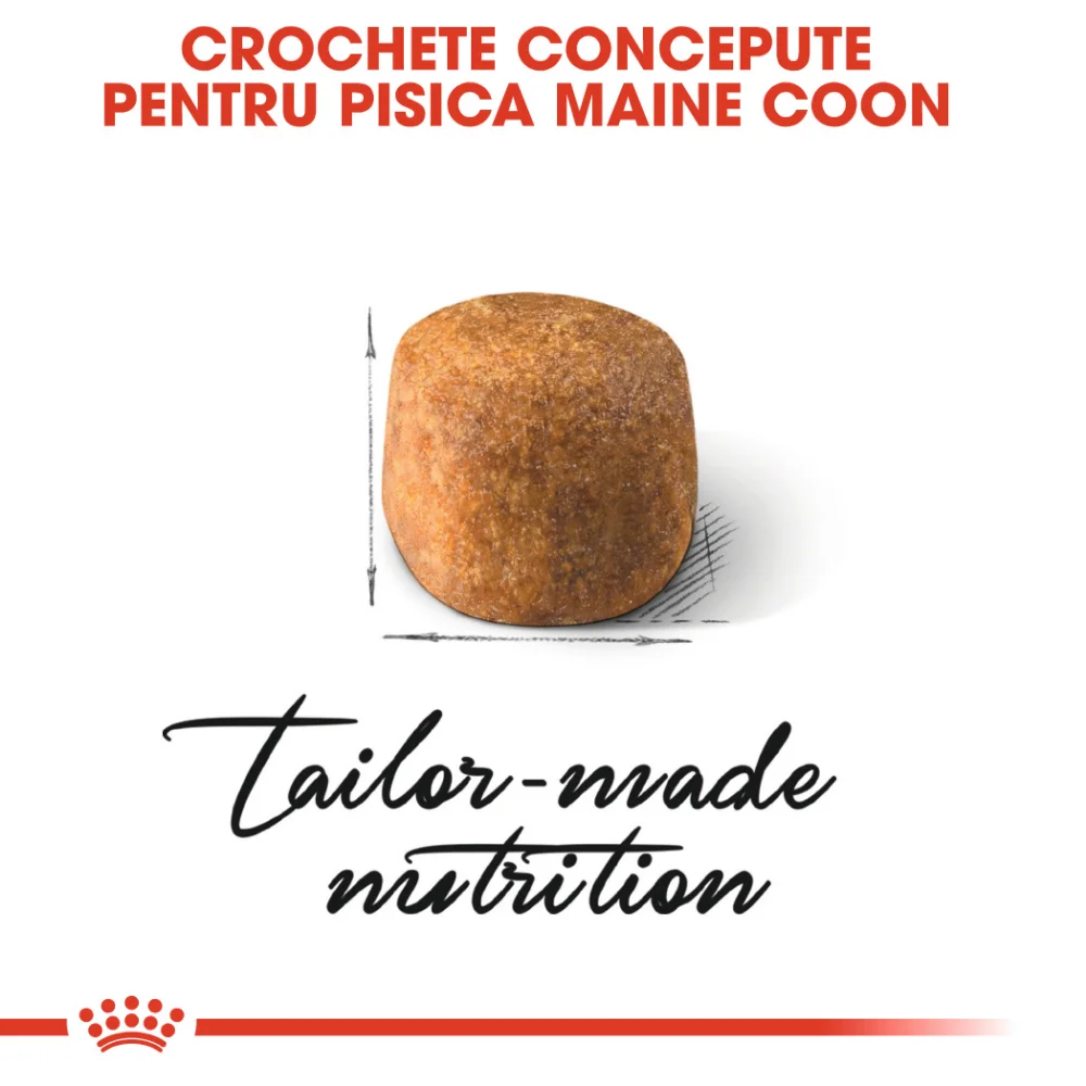 ROYAL CANIN Maine Coon Adult, hrană uscată pisică, 10kg [4]