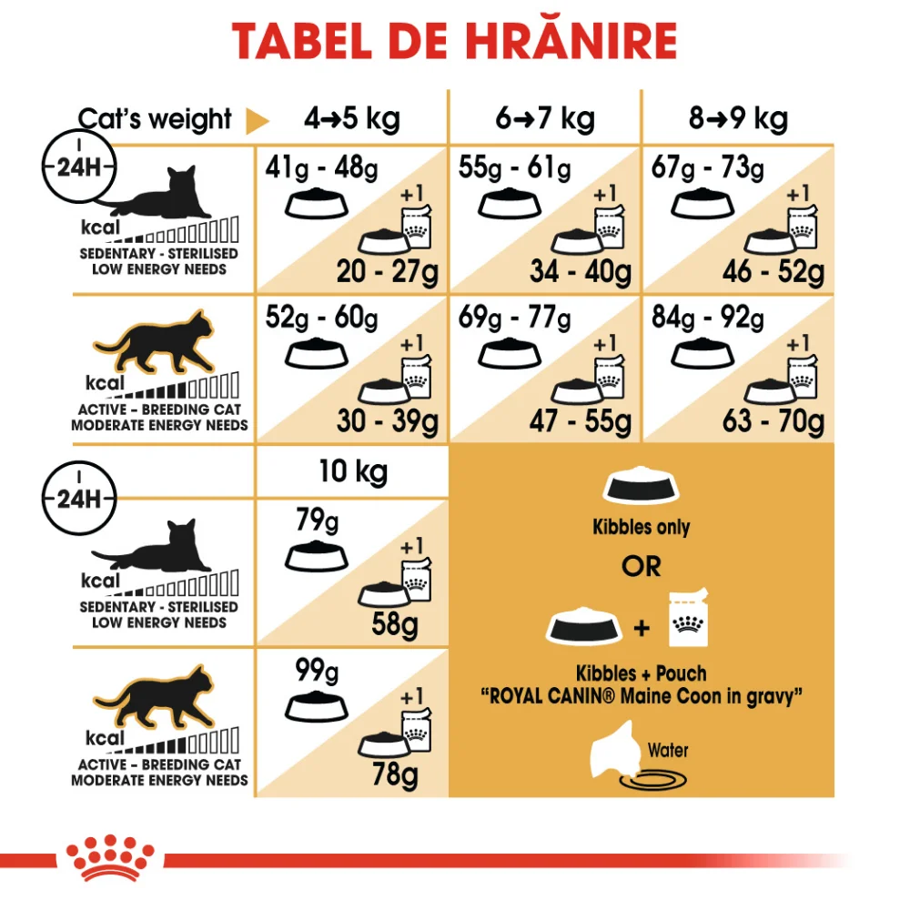 ROYAL CANIN Maine Coon Adult, hrană uscată pisică, 10kg [7]