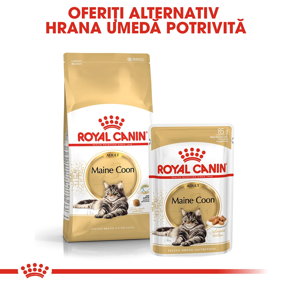 ROYAL CANIN Maine Coon Adult, hrană umedă pisică (în sos), 12x85g [8]