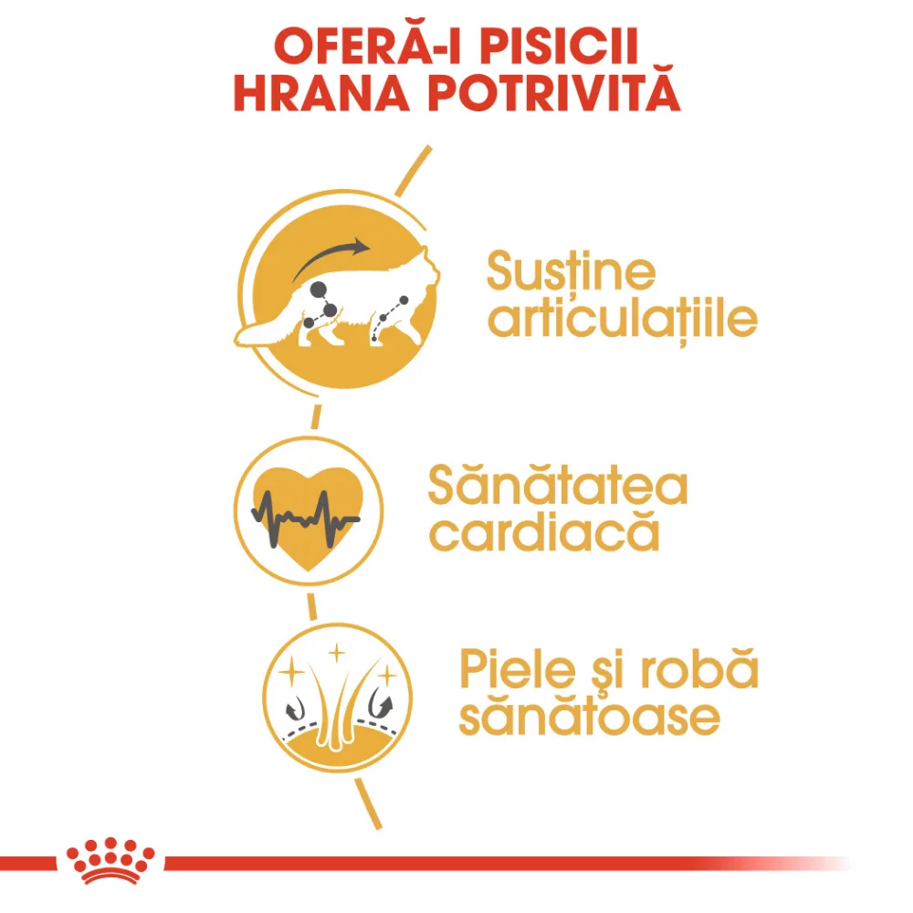ROYAL CANIN Maine Coon Adult, hrană uscată pisică, 4kg [3]