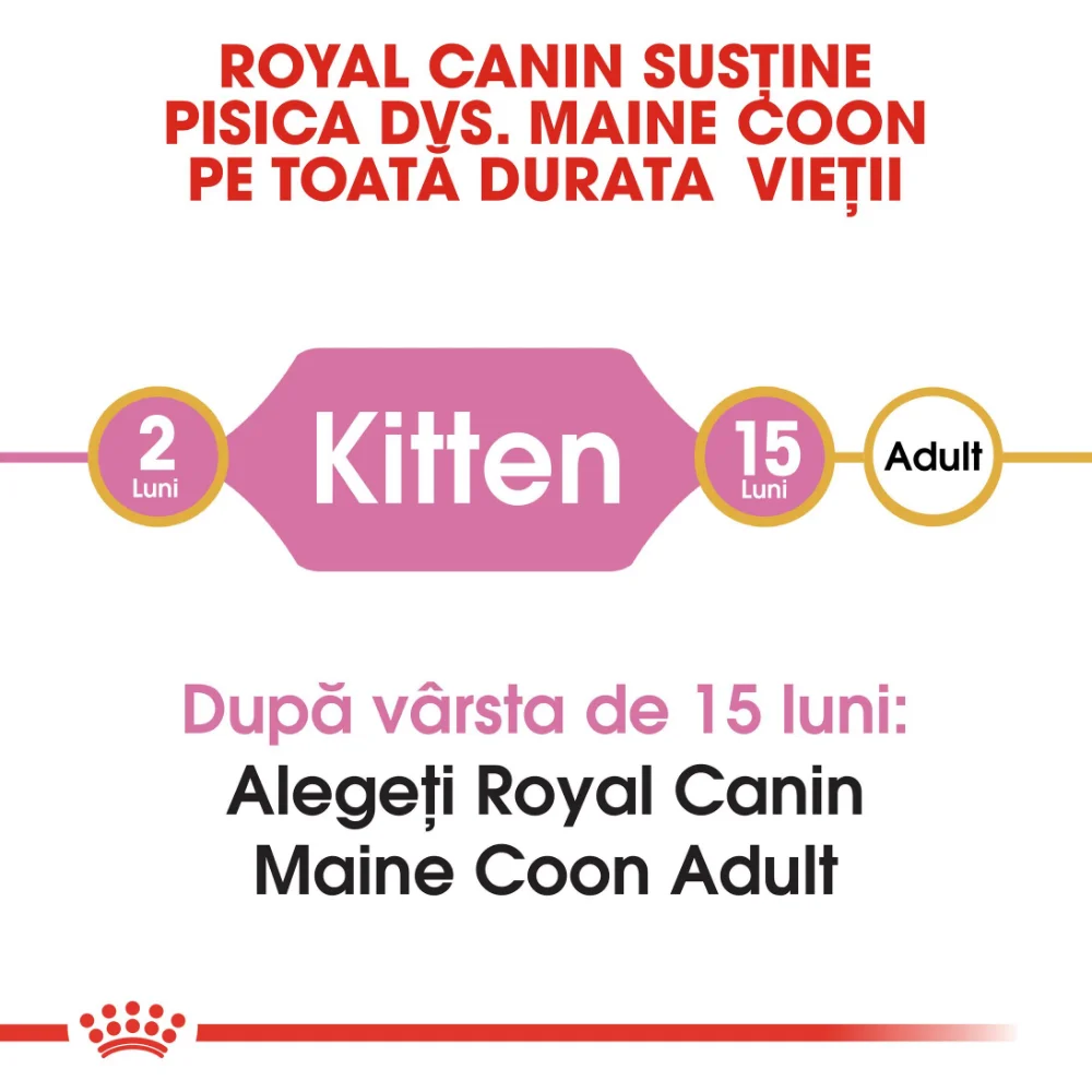 ROYAL CANIN Maine Coon Kitten, hrană uscată pisică junior, 10kg [6]