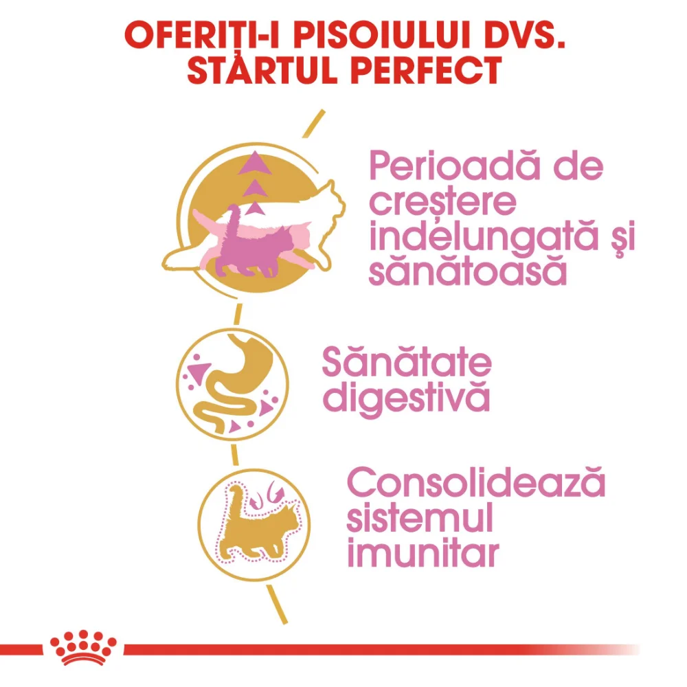 ROYAL CANIN Maine Coon Kitten, hrană uscată pisică junior, 2kg [3]