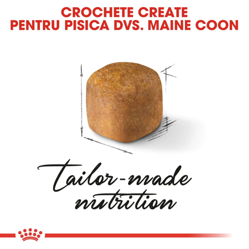 ROYAL CANIN Maine Coon Kitten, hrană uscată pisică junior, 2kg [4]
