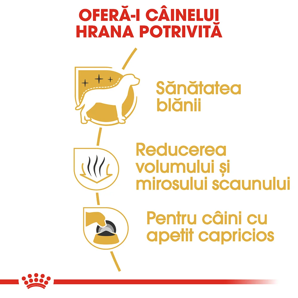 ROYAL CANIN Maltese Adult, hrană uscată câine, 1,5kg [4]