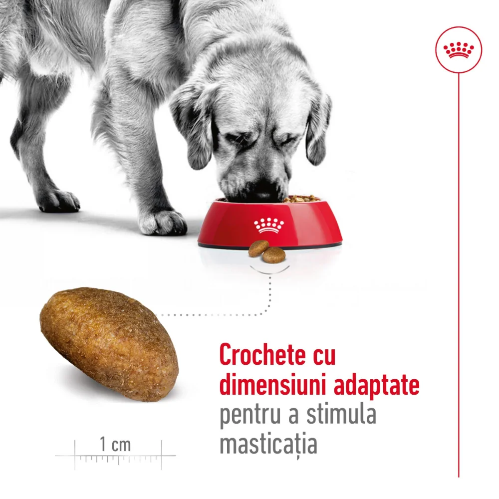 ROYAL CANIN Maxi Adult, hrană uscată câine, 15+3kg CADOU [6]