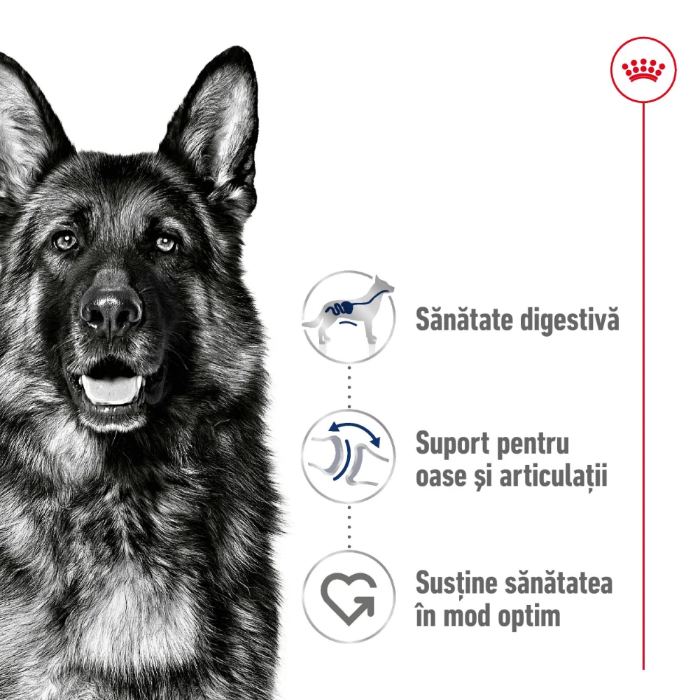 ROYAL CANIN Maxi Adult, hrană uscată câine, 15+3kg CADOU [4]