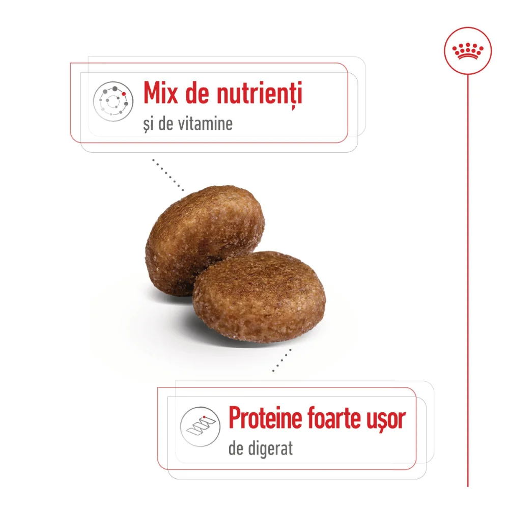 ROYAL CANIN Medium Adult 5+, hrană uscată câine, 15kg [5]