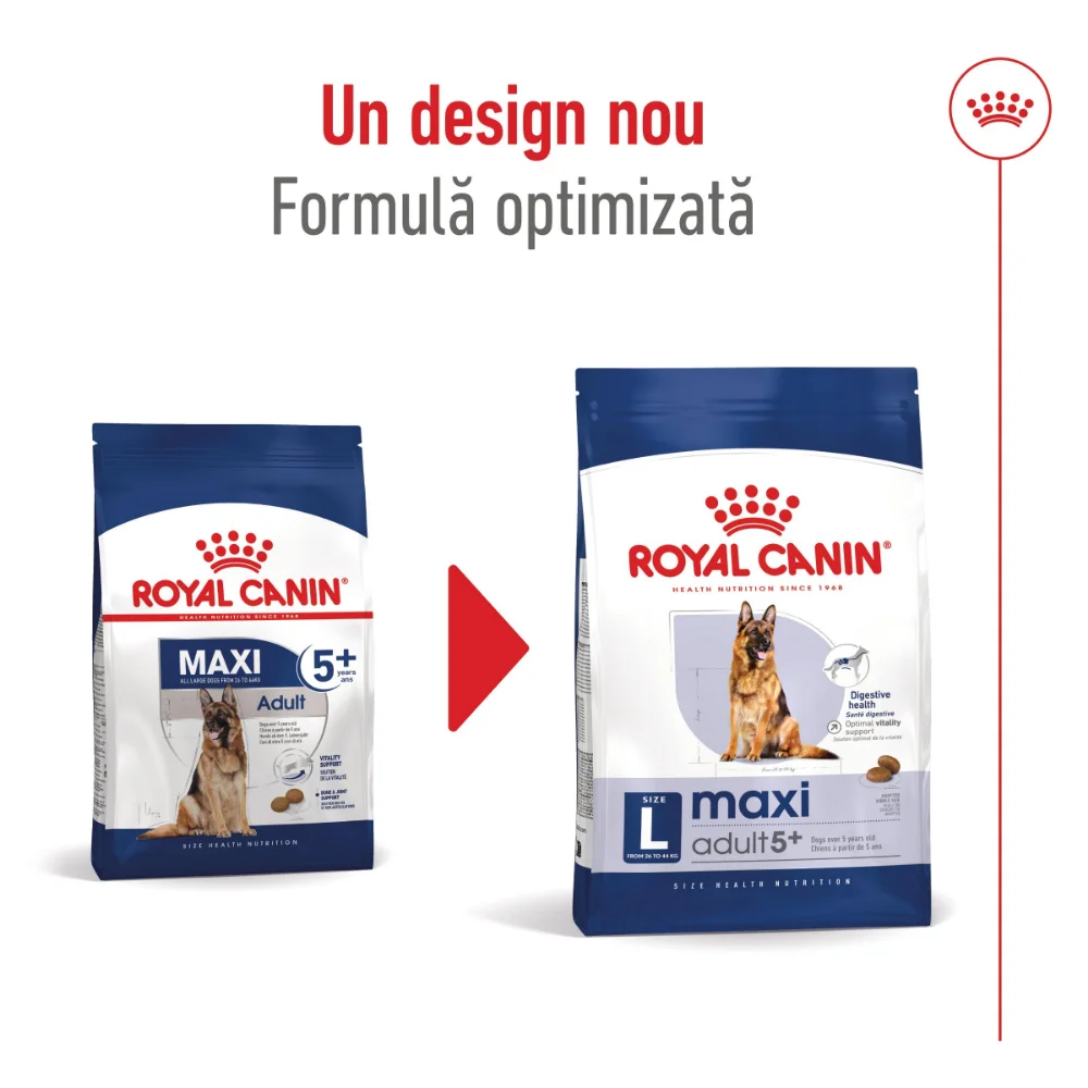 ROYAL CANIN Maxi Adult 5+, hrană uscată câine, 4kg [3]