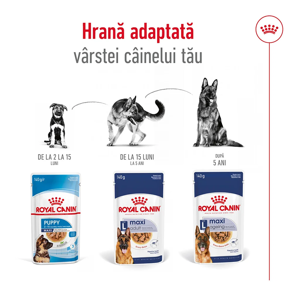 ROYAL CANIN Maxi Adult, hrană umedă câine (în sos), 10x140g [9]