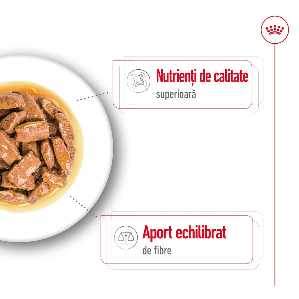 ROYAL CANIN Maxi Adult, hrană umedă câine (în sos), 10x140g [5]