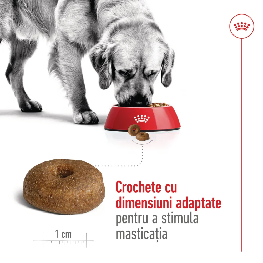 ROYAL CANIN Maxi Ageing 8+ hrană uscată câine senior, 15kg [6]
