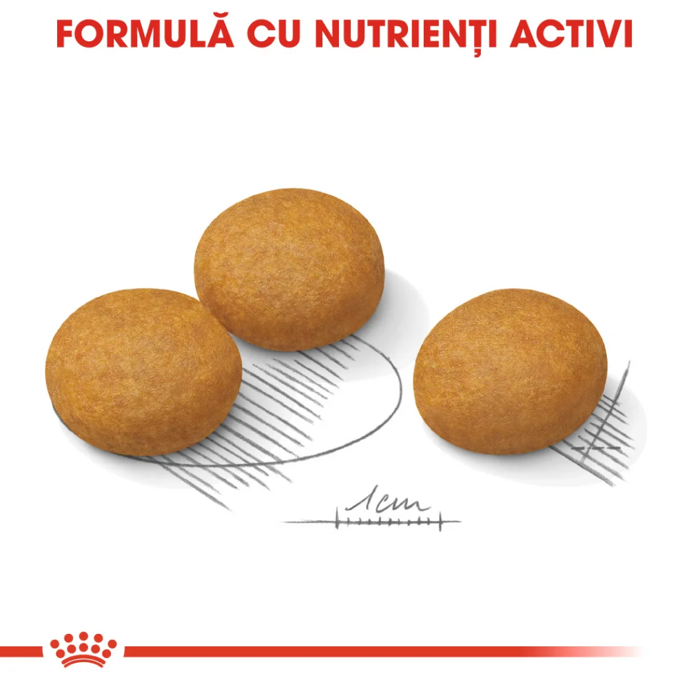 ROYAL CANIN Maxi Dermacomfort, hrană uscată câine, prevenirea iritațiilor pielii, 12kg [5]