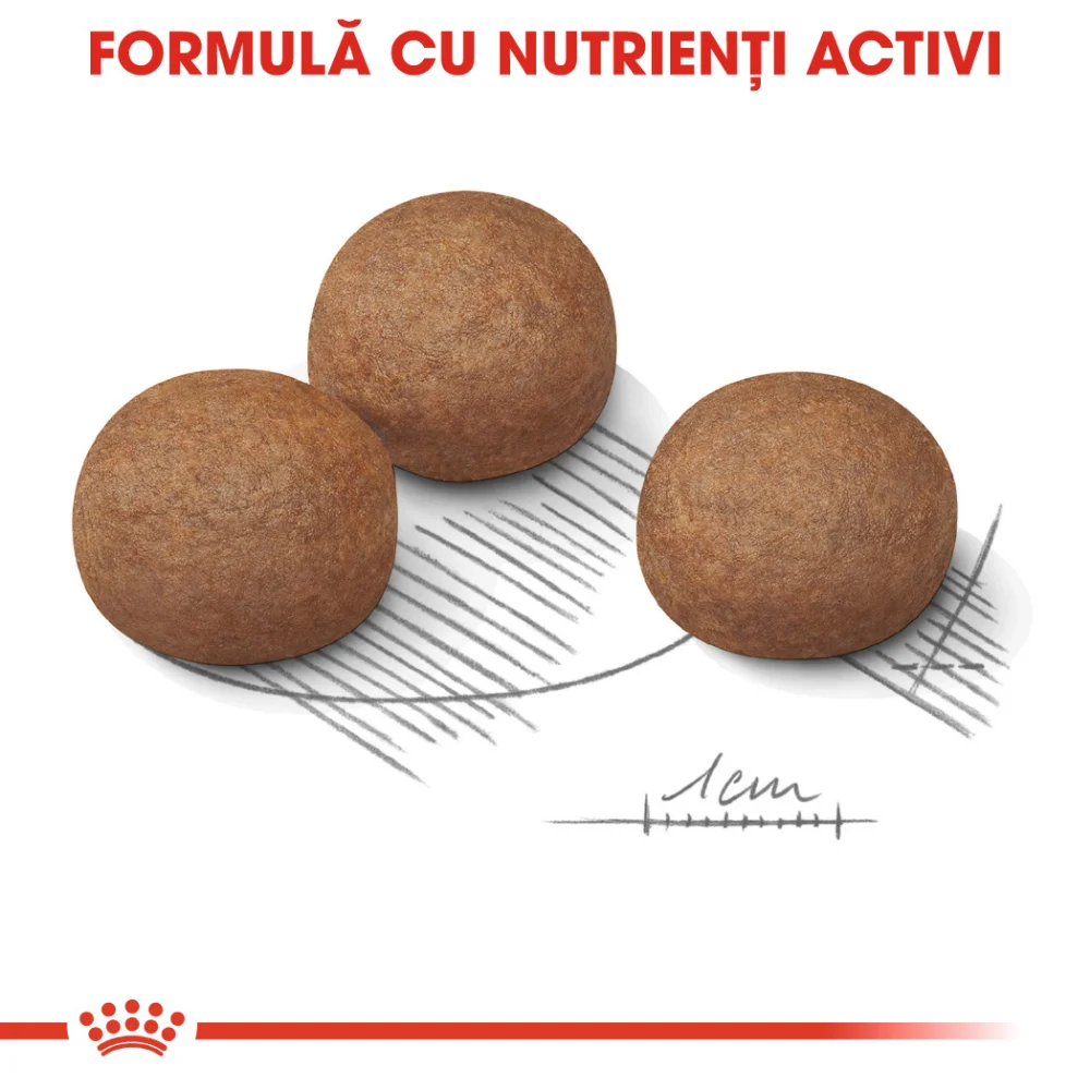 ROYAL CANIN Maxi Digestive Care, hrană uscată câine, confort digestiv, 12kg [5]