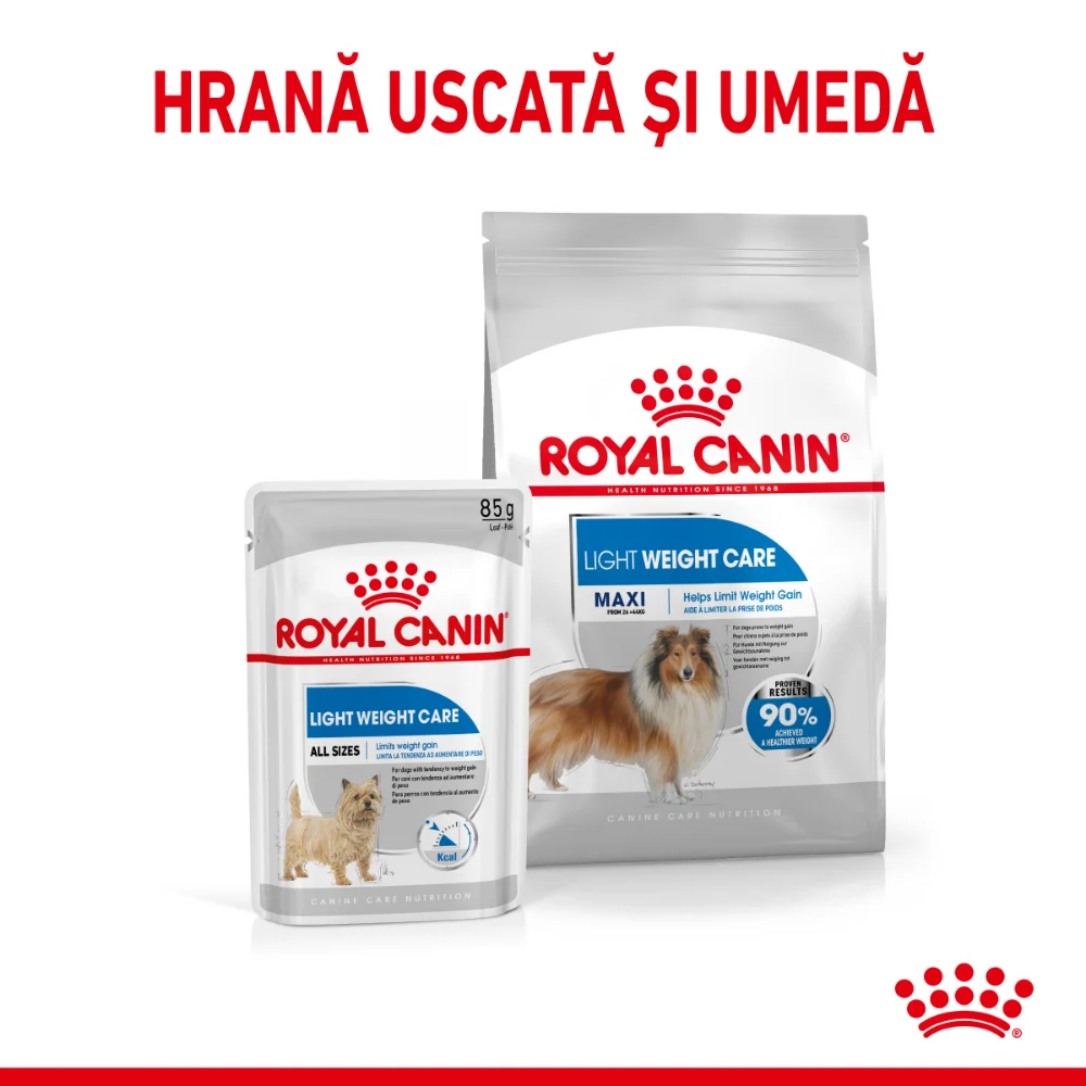 ROYAL CANIN Maxi Light Weight Care Adult, hrană uscată câine, limitarea creșterii în greutate, 12kg [9]